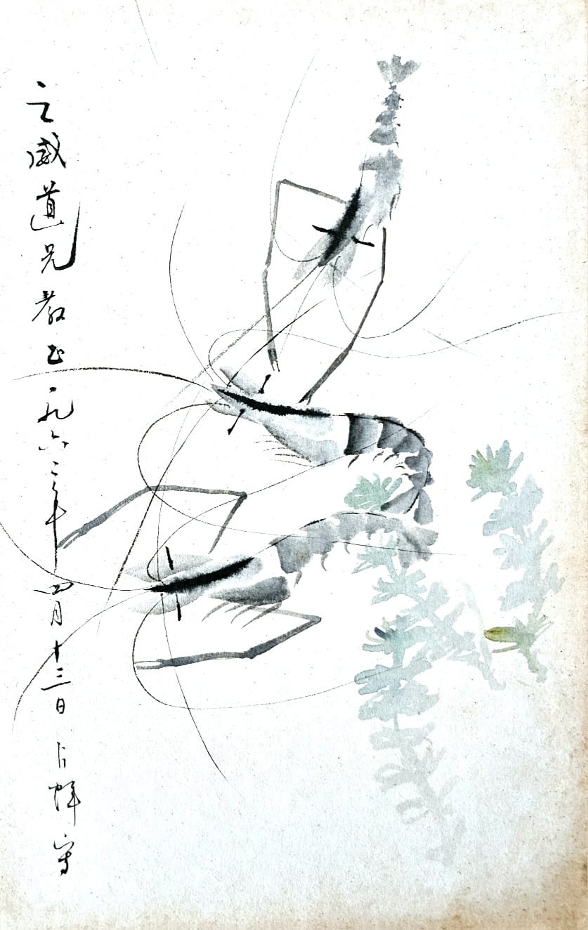 Ink painting of shrimp, inscribed to a fellow artist and dated 1962